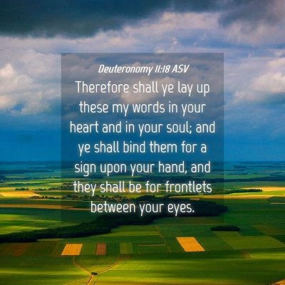 Picture 04 - Deuteronomy 11:18 ASV - Therefore shall ye lay up these my words in your - Bible Verse Picture