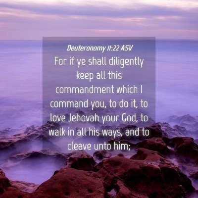 Picture 04 - Deuteronomy 11:22 ASV - For if ye shall diligently keep all this - Bible Verse Picture