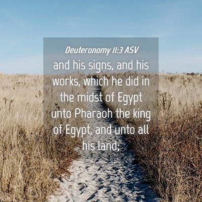 Picture 04 - Deuteronomy 11:3 ASV - and his signs, and his works, which he did in the - Bible Verse Picture