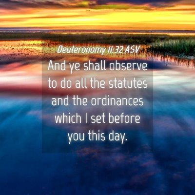 Picture 04 - Deuteronomy 11:32 ASV - And ye shall observe to do all the statutes and - Bible Verse Picture