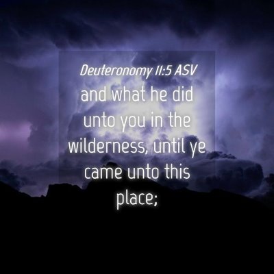 Picture 04 - Deuteronomy 11:5 ASV - and what he did unto you in the wilderness, until - Bible Verse Picture