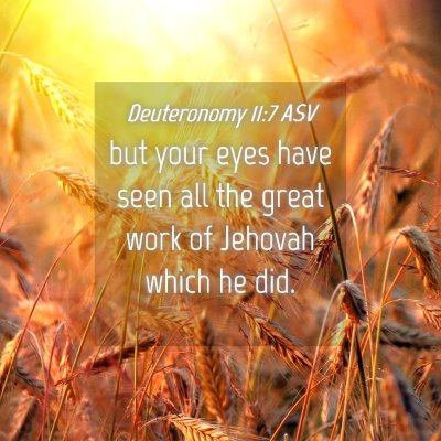 Picture 04 - Deuteronomy 11:7 ASV - but your eyes have seen all the great work of - Bible Verse Picture