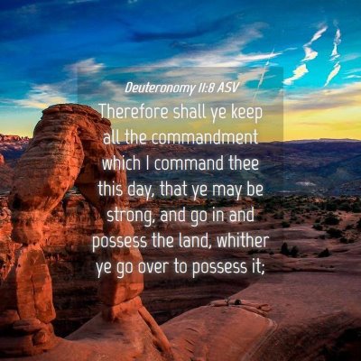 Picture 04 - Deuteronomy 11:8 ASV - Therefore shall ye keep all the commandment which - Bible Verse Picture