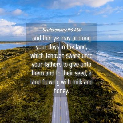 Picture 04 - Deuteronomy 11:9 ASV - and that ye may prolong your days in the land, - Bible Verse Picture