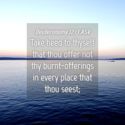Picture 04 - Deuteronomy 12:13 ASV - Take heed to thyself that thou offer not thy - Bible Verse Picture