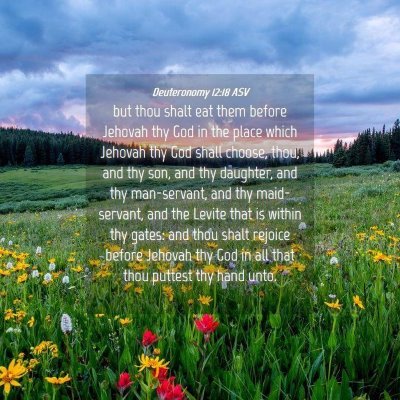 Picture 04 - Deuteronomy 12:18 ASV - but thou shalt eat them before Jehovah thy God in - Bible Verse Picture