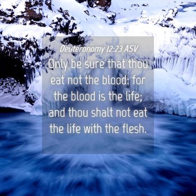 Picture 04 - Deuteronomy 12:23 ASV - Only be sure that thou eat not the blood: for the - Bible Verse Picture