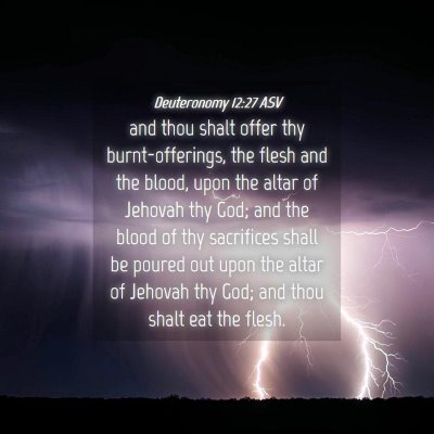 Picture 04 - Deuteronomy 12:27 ASV - and thou shalt offer thy burnt-offerings, the - Bible Verse Picture