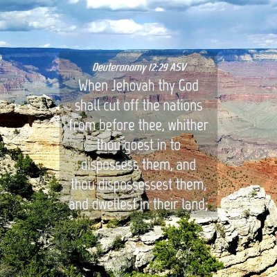 Picture 04 - Deuteronomy 12:29 ASV - When Jehovah thy God shall cut off the nations - Bible Verse Picture
