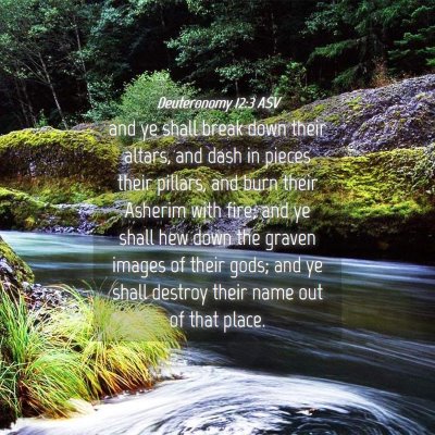 Picture 04 - Deuteronomy 12:3 ASV - and ye shall break down their altars, and dash in - Bible Verse Picture