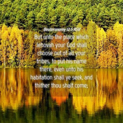 Picture 04 - Deuteronomy 12:5 ASV - But unto the place which Jehovah your God shall - Bible Verse Picture