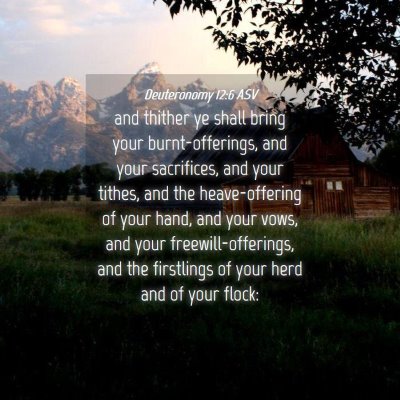 Picture 04 - Deuteronomy 12:6 ASV - and thither ye shall bring your burnt-offerings, - Bible Verse Picture