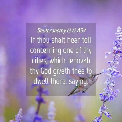 Picture 04 - Deuteronomy 13:12 ASV - If thou shalt hear tell concerning one of thy - Bible Verse Picture