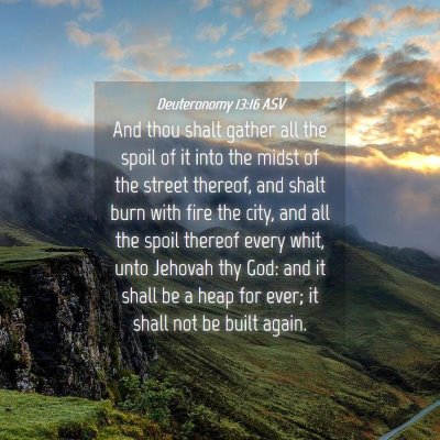 Picture 04 - Deuteronomy 13:16 ASV - And thou shalt gather all the spoil of it into - Bible Verse Picture