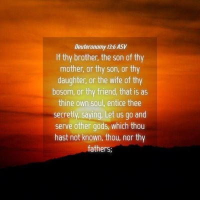 Picture 04 - Deuteronomy 13:6 ASV - If thy brother, the son of thy mother, or thy - Bible Verse Picture