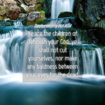Picture 04 - Deuteronomy 14:1 ASV - Ye are the children of Jehovah your God: ye shall - Bible Verse Picture
