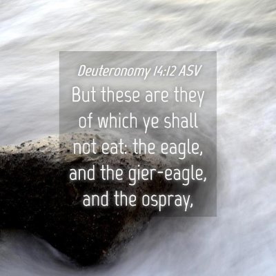Picture 04 - Deuteronomy 14:12 ASV - But these are they of which ye shall not eat: the - Bible Verse Picture