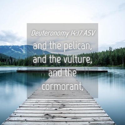 Picture 04 - Deuteronomy 14:17 ASV - and the pelican, and the vulture, and the - Bible Verse Picture