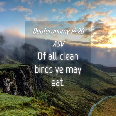 Picture 04 - Deuteronomy 14:20 ASV - Of all clean birds ye may - Bible Verse Picture