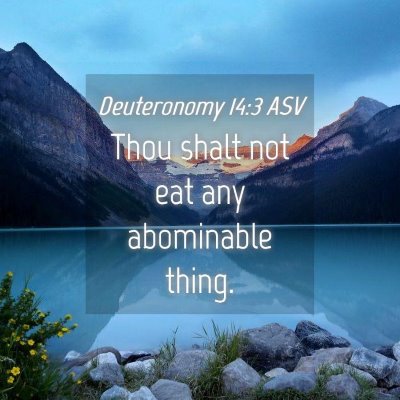 Picture 04 - Deuteronomy 14:3 ASV - Thou shalt not eat any abominable - Bible Verse Picture