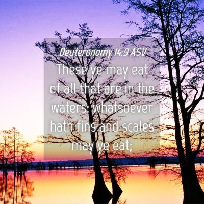 Picture 04 - Deuteronomy 14:9 ASV - These ye may eat of all that are in the waters: - Bible Verse Picture