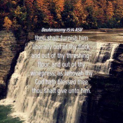 Picture 04 - Deuteronomy 15:14 ASV - thou shalt furnish him liberally out of thy - Bible Verse Picture