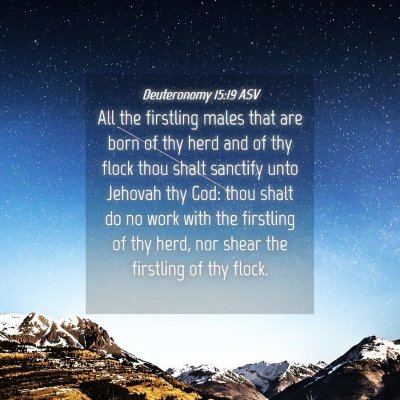 Picture 04 - Deuteronomy 15:19 ASV - All the firstling males that are born of thy herd - Bible Verse Picture