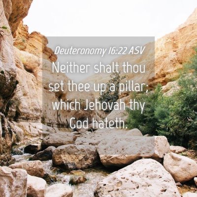Picture 04 - Deuteronomy 16:22 ASV - Neither shalt thou set thee up a pillar; which - Bible Verse Picture