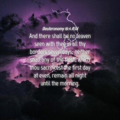 Picture 04 - Deuteronomy 16:4 ASV - And there shall be no leaven seen with thee in - Bible Verse Picture