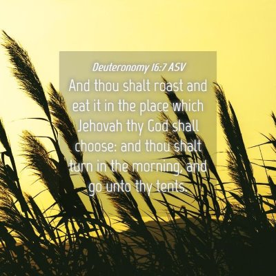 Picture 04 - Deuteronomy 16:7 ASV - And thou shalt roast and eat it in the place - Bible Verse Picture