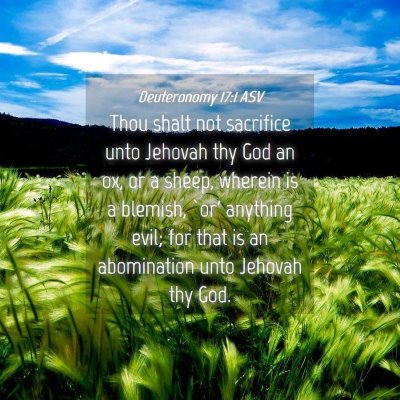 Picture 04 - Deuteronomy 17:1 ASV - Thou shalt not sacrifice unto Jehovah thy God an - Bible Verse Picture