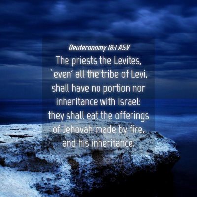 Picture 04 - Deuteronomy 18:1 ASV - The priests the Levites, `even' all the tribe of - Bible Verse Picture