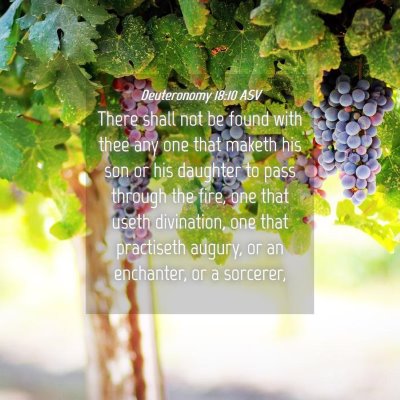 Picture 04 - Deuteronomy 18:10 ASV - There shall not be found with thee any one that - Bible Verse Picture