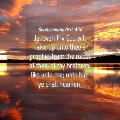 Picture 04 - Deuteronomy 18:15 ASV - Jehovah thy God will raise up unto thee a prophet - Bible Verse Picture