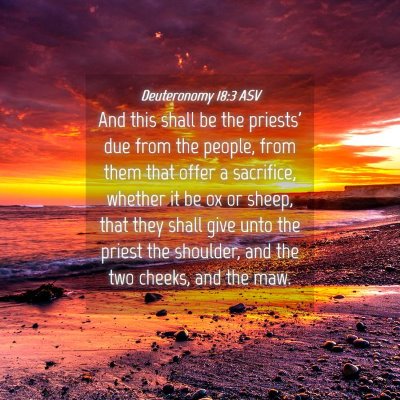Picture 04 - Deuteronomy 18:3 ASV - And this shall be the priests' due from the - Bible Verse Picture