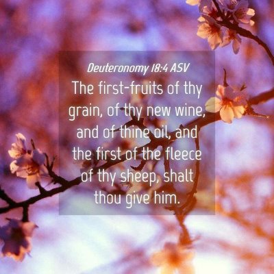 Picture 04 - Deuteronomy 18:4 ASV - The first-fruits of thy grain, of thy new wine, - Bible Verse Picture