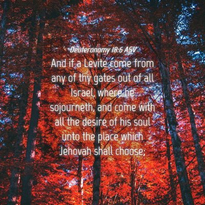 Picture 04 - Deuteronomy 18:6 ASV - And if a Levite come from any of thy gates out of - Bible Verse Picture