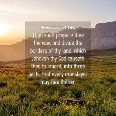 Picture 04 - Deuteronomy 19:3 ASV - Thou shalt prepare thee the way, and divide the - Bible Verse Picture