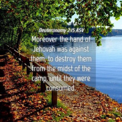 Picture 04 - Deuteronomy 2:15 ASV - Moreover the hand of Jehovah was against them, to - Bible Verse Picture