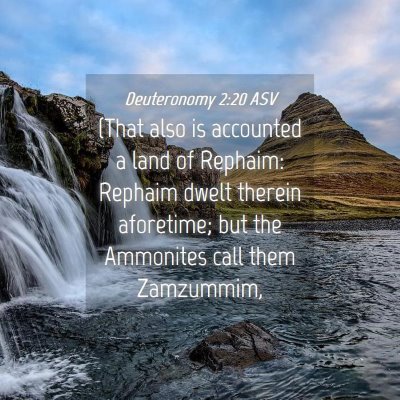 Picture 04 - Deuteronomy 2:20 ASV - (That also is accounted a land of Rephaim: - Bible Verse Picture