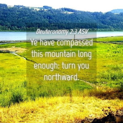 Picture 04 - Deuteronomy 2:3 ASV - Ye have compassed this mountain long enough: turn - Bible Verse Picture