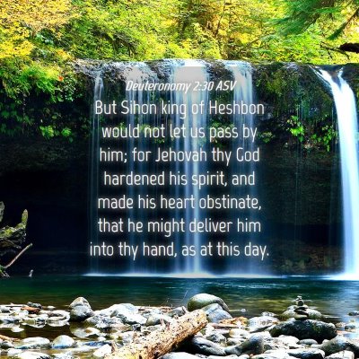Picture 04 - Deuteronomy 2:30 ASV - But Sihon king of Heshbon would not let us pass - Bible Verse Picture