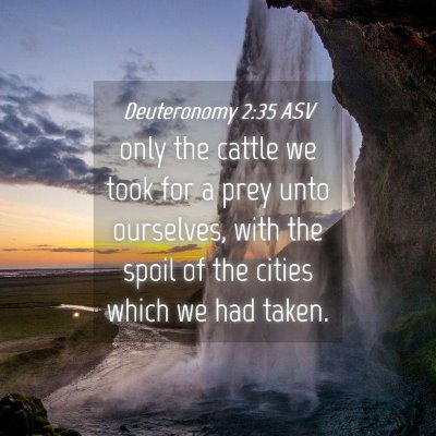 Picture 04 - Deuteronomy 2:35 ASV - only the cattle we took for a prey unto - Bible Verse Picture