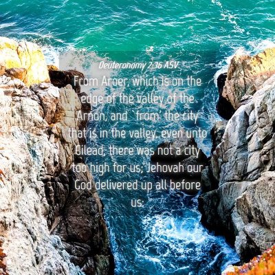 Picture 04 - Deuteronomy 2:36 ASV - From Aroer, which is on the edge of the valley of - Bible Verse Picture