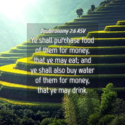 Picture 04 - Deuteronomy 2:6 ASV - Ye shall purchase food of them for money, that ye - Bible Verse Picture