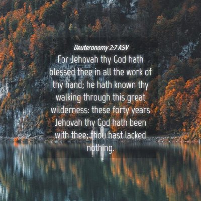 Picture 04 - Deuteronomy 2:7 ASV - For Jehovah thy God hath blessed thee in all the - Bible Verse Picture