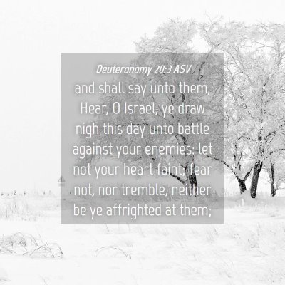 Picture 04 - Deuteronomy 20:3 ASV - and shall say unto them, Hear, O Israel, ye draw - Bible Verse Picture