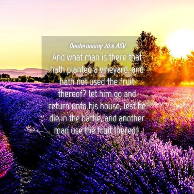 Picture 04 - Deuteronomy 20:6 ASV - And what man is there that hath planted a - Bible Verse Picture
