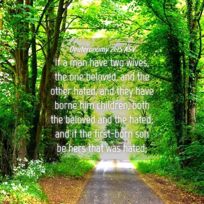 Picture 04 - Deuteronomy 21:15 ASV - If a man have two wives, the one beloved, and the - Bible Verse Picture