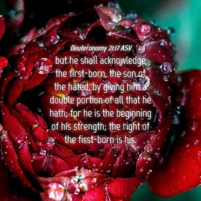 Picture 04 - Deuteronomy 21:17 ASV - but he shall acknowledge the first-born, the son - Bible Verse Picture
